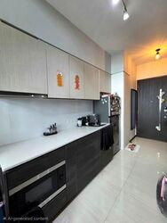 Sims Urban Oasis (D14), Condominium #535342671